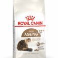 Care-Ageing-Plus-12-Years