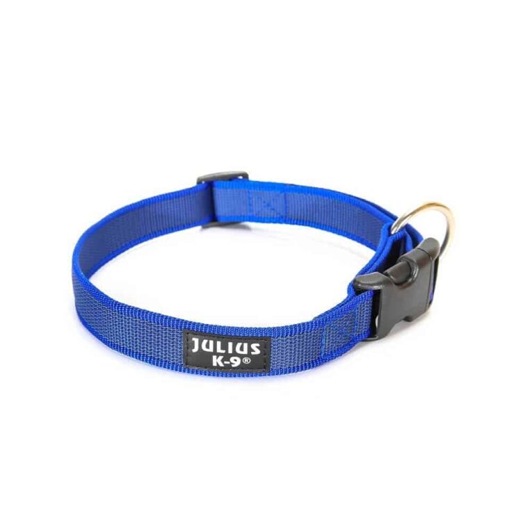 Julius-K9-collar-color-gray-collection-blue-27-42-cm-220CG-B