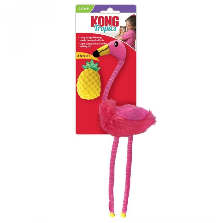 KONG