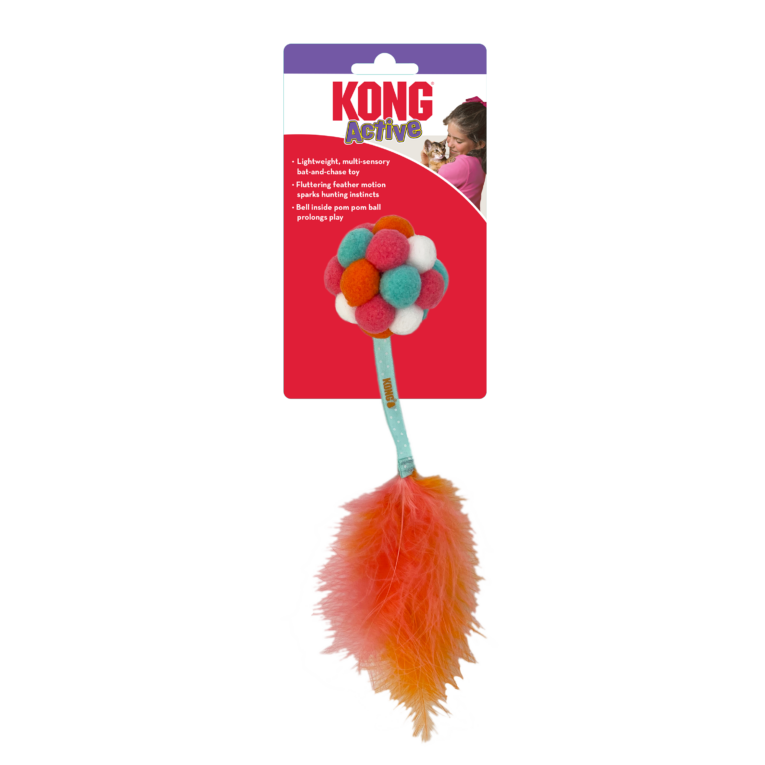 KONG