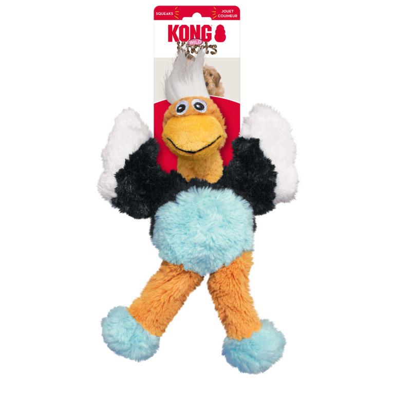 KONG