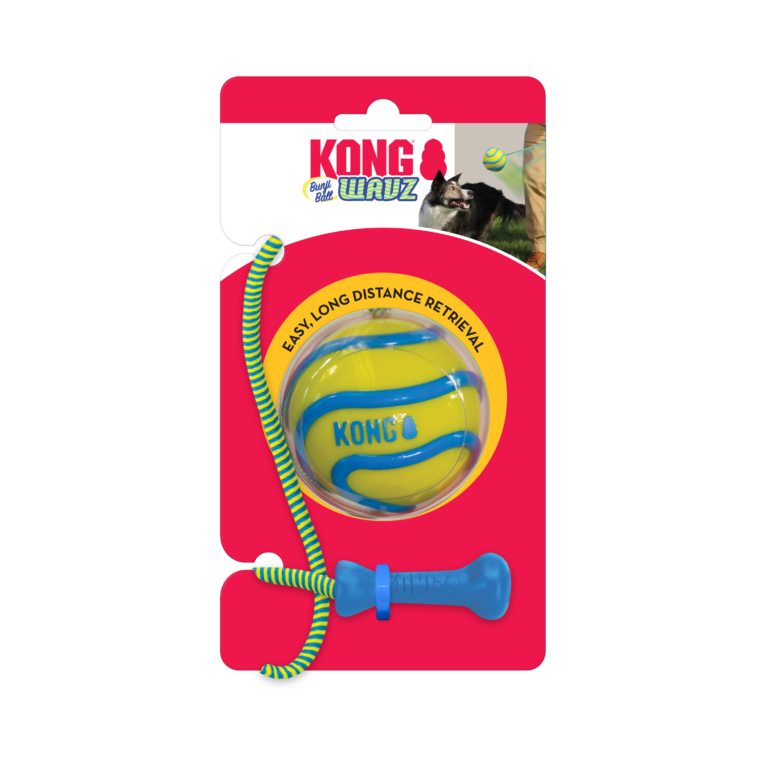 KONG