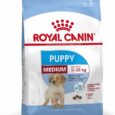 Puppy-2-12-Months-Medium