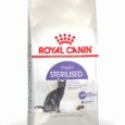 Regular-Sterilised-37