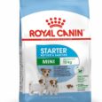 Starter-MotherBabydog