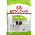 X-Small-Adult-Green