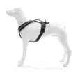alpi-dog-harness (3)