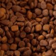 dry-dog-food-kibble-closeup