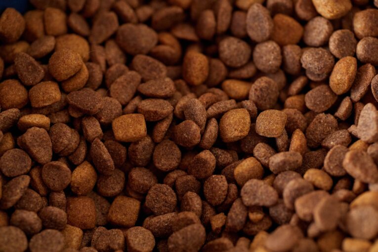 dry-dog-food-kibble-closeup