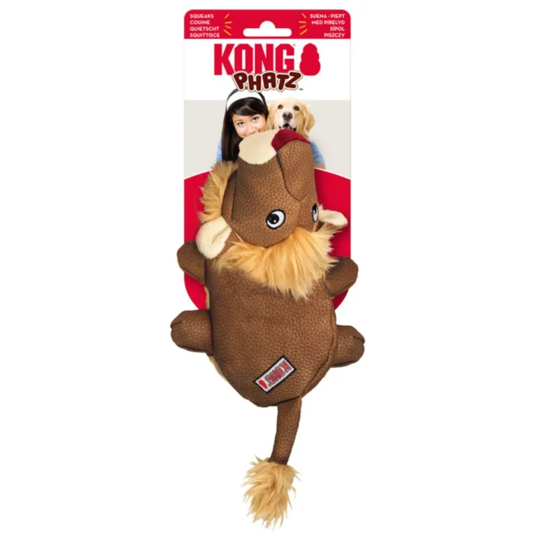 kong-phatz-lion-1