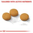 royal-canin-medium-dermacomfort-benefit
