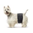 3371 0000 Male Dog Nappy Small kopie