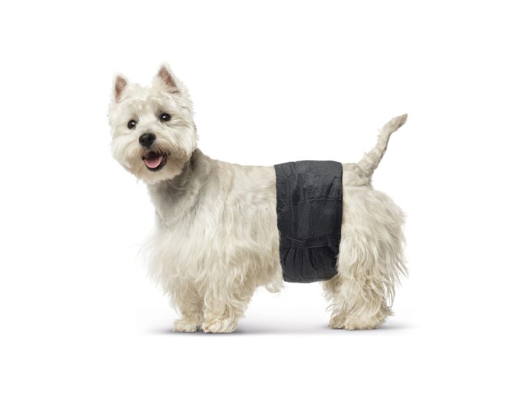 3371 0000 Male Dog Nappy Small kopie