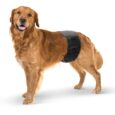 3373 0000 Male Dog Nappy Large kopie