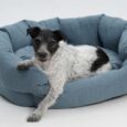 hundekoerbchen-loomi-blau-1