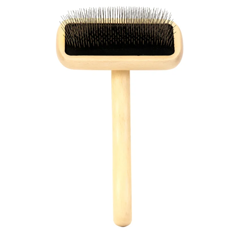 1326_source_1677851188_1095x1095