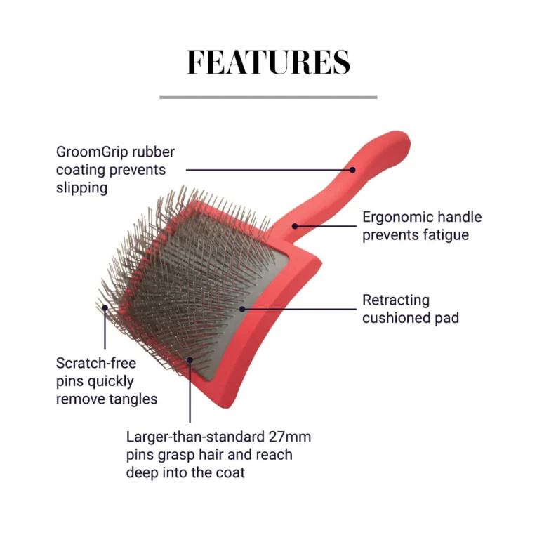 CCS-Email-1xBS-GroomerMiracleBrush-04-1080x1080__02675.1715036052.1280.1280_1080x1080