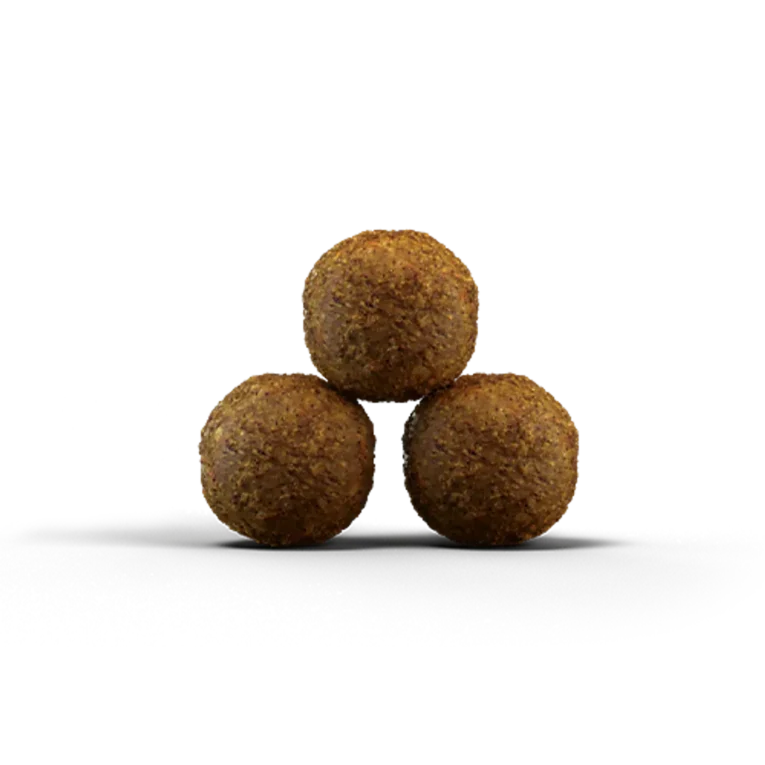 Kibble_Cat_Kitten_KittenGrainfree