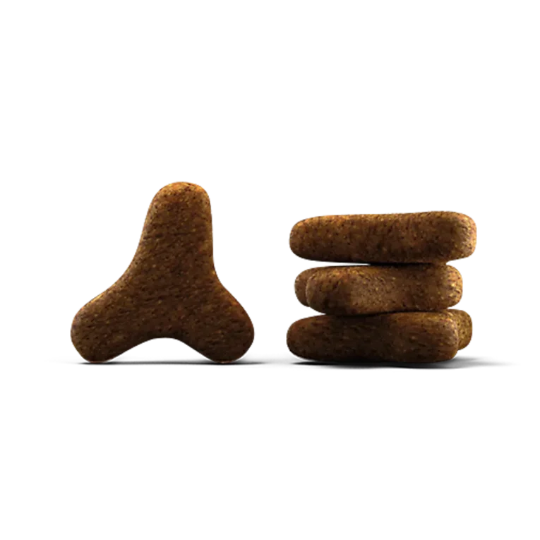 Kibble_Cat_Marinesse