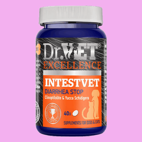 Dr.Vet Excellence Intestvet 40tbs