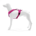 alpi-dog-harness (12)