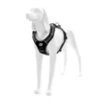 alpi-dog-harness (18)