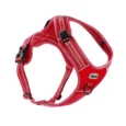 alpi-dog-harness (20)