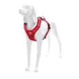 alpi-dog-harness (25)