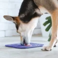square-lick-mat-for-dogs-and-cats (3)