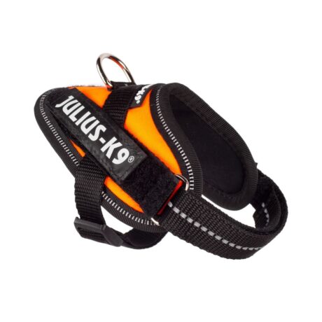 Julius-K9 IDC® Powerharness - Orange 2XL