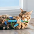 KONG Kickeroo Stickeroo Cat Toy