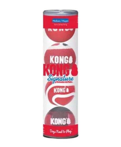 Kong Signature Ball Dog Toy Assorted Medium – 4 Pack
