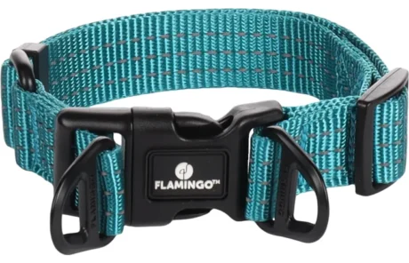 Collar Zorba Turquoise S | 30-45cm
