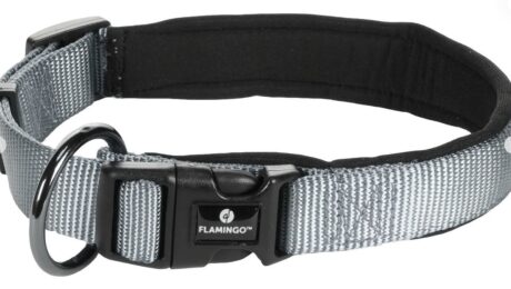 COLLAR ABBI GREY XL 32mm 55-60cm