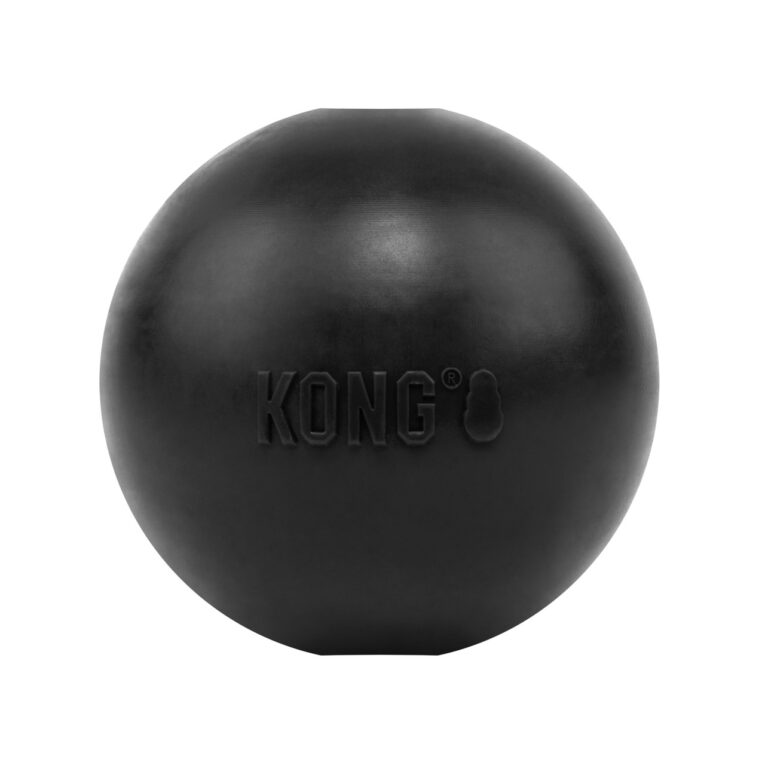 KONG Extreme Ball 1