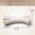 Antos Calcium Bone