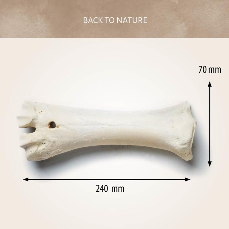 Antos Calcium Bone
