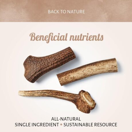 Antos Deer Antler Medium 76-150gr