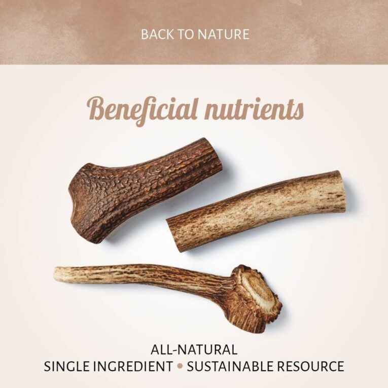 Antos Deer Antler Medium 76-150gr