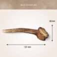 Antos Deer Antler Medium 76-150gr