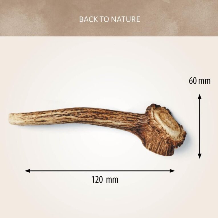 Antos Deer Antler Medium 76-150gr