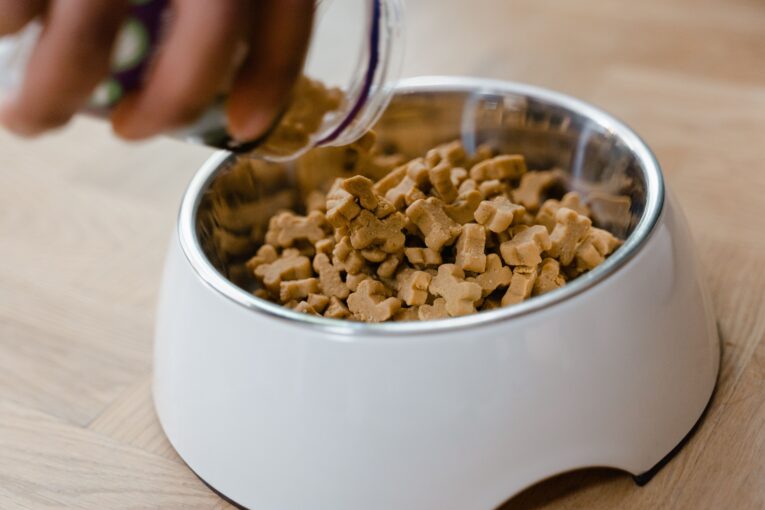 dog-treat-lifestyle