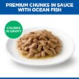 hills-kitten-ocean-fish-chunks-in-sauce