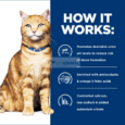 hills-pd-cd-multicare-urinary-cat-1-5kg-howitworks