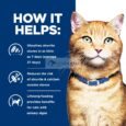 hills-pd-cd-multicare-urinary-cat-85g-howitworks