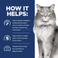 Hill's Prescription Diet Gastrointestinal Biome Stress - How It Helps