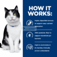 Hill's Prescription Diet i/d Digestive Care Dry Cat Food - How It Works