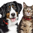 hills-petfoodfinder