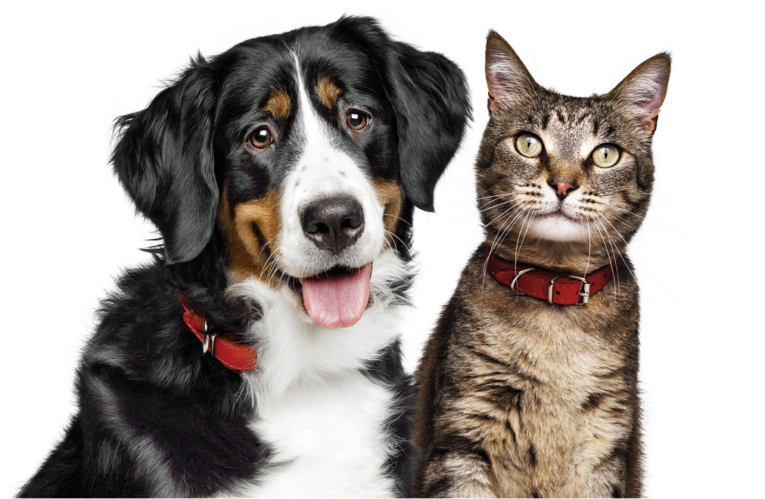 hills-petfoodfinder