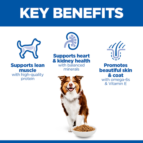 Hill's Science Plan Canine Mature Adult Medium Chicken Dry Dog Food